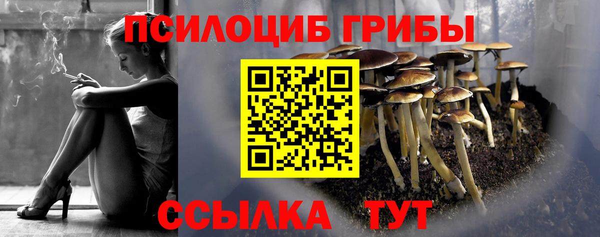 Галлюциногенные грибы Magic Shrooms Шатура